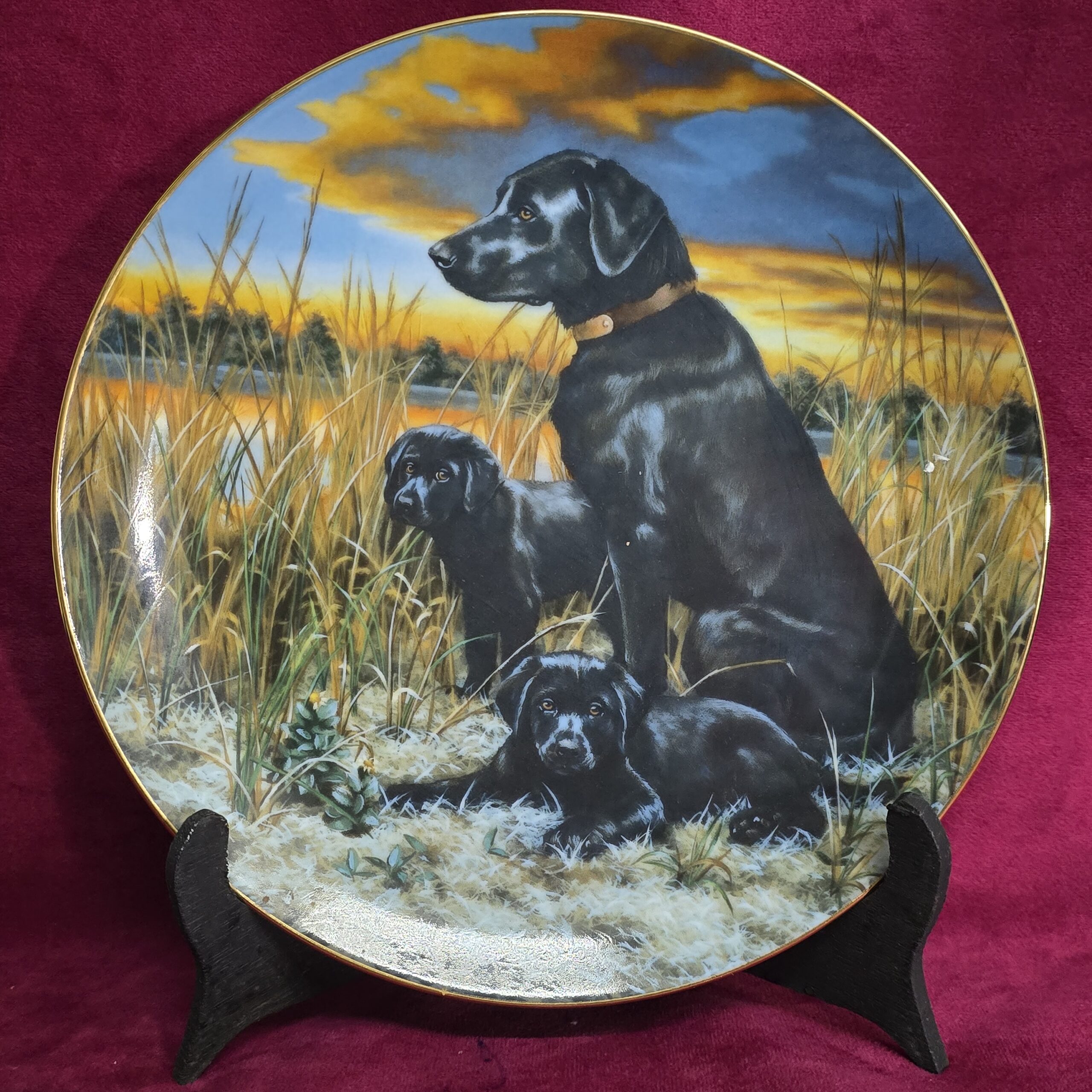KOLEKSİYON TABAK LABRADOR RETRIEVERS CLASSIC SPORTING DOGS (Klasik Av Köpekleri)