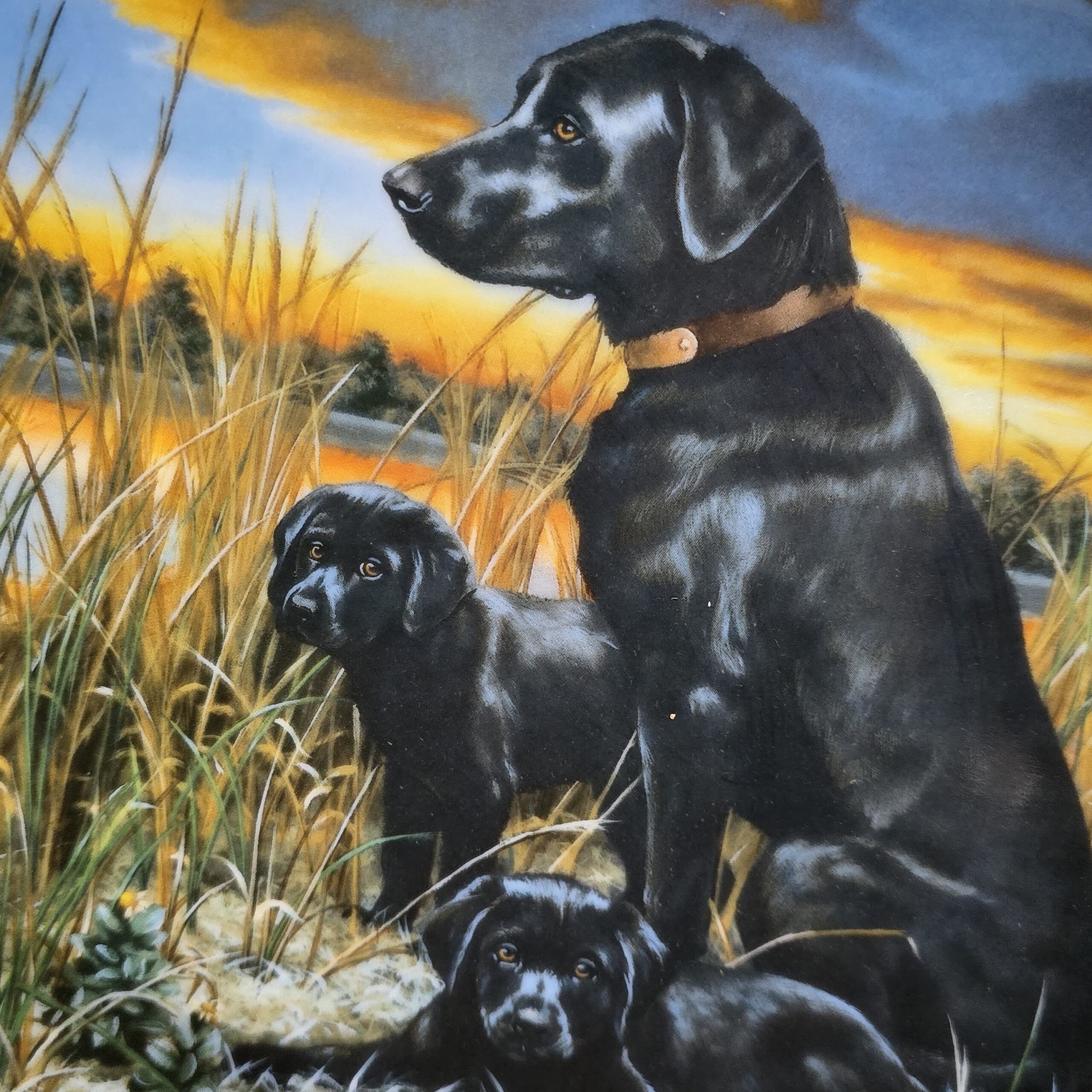 KOLEKSİYON TABAK LABRADOR RETRIEVERS CLASSIC SPORTING DOGS (Klasik Av Köpekleri) - Görsel 2