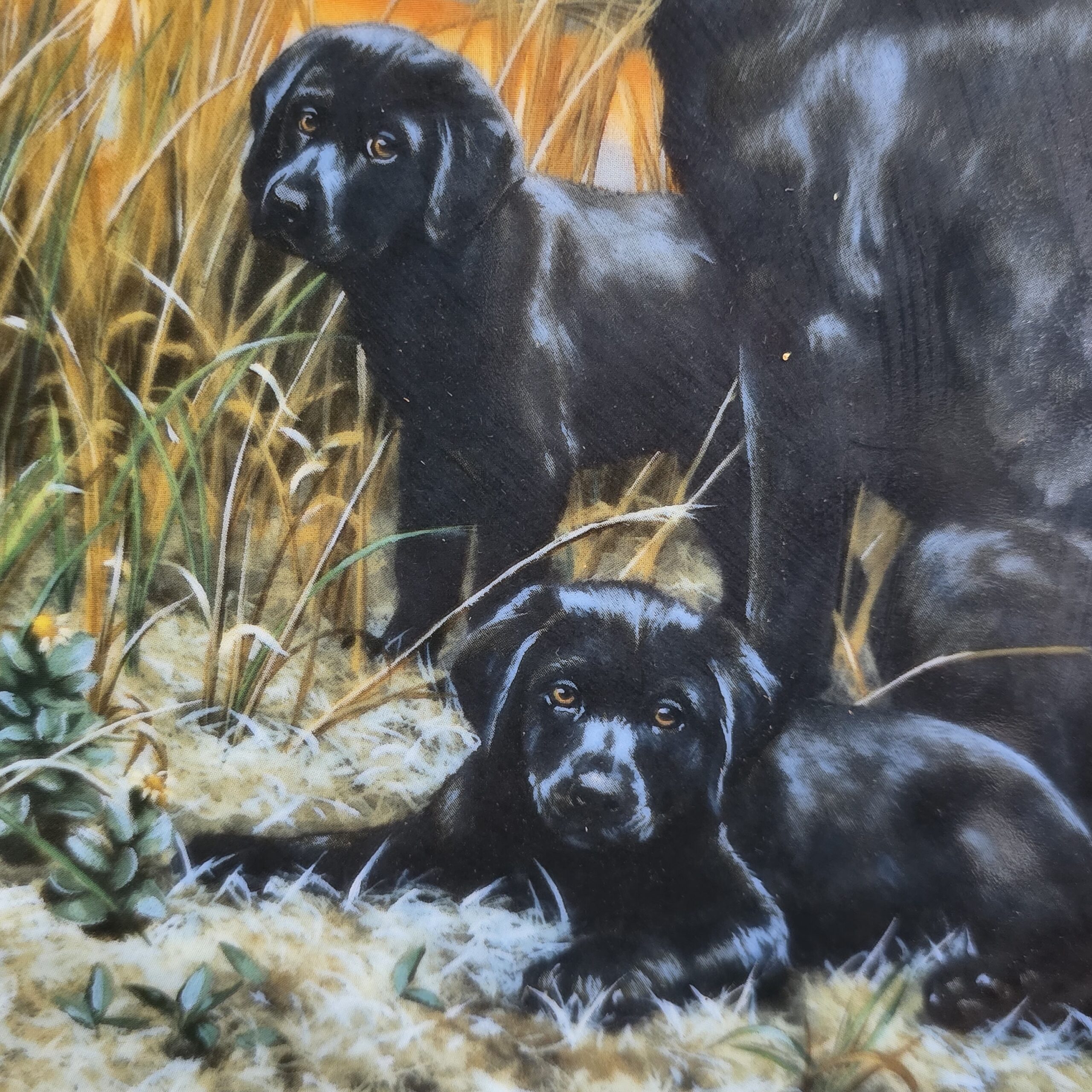 KOLEKSİYON TABAK LABRADOR RETRIEVERS CLASSIC SPORTING DOGS (Klasik Av Köpekleri) - Görsel 3