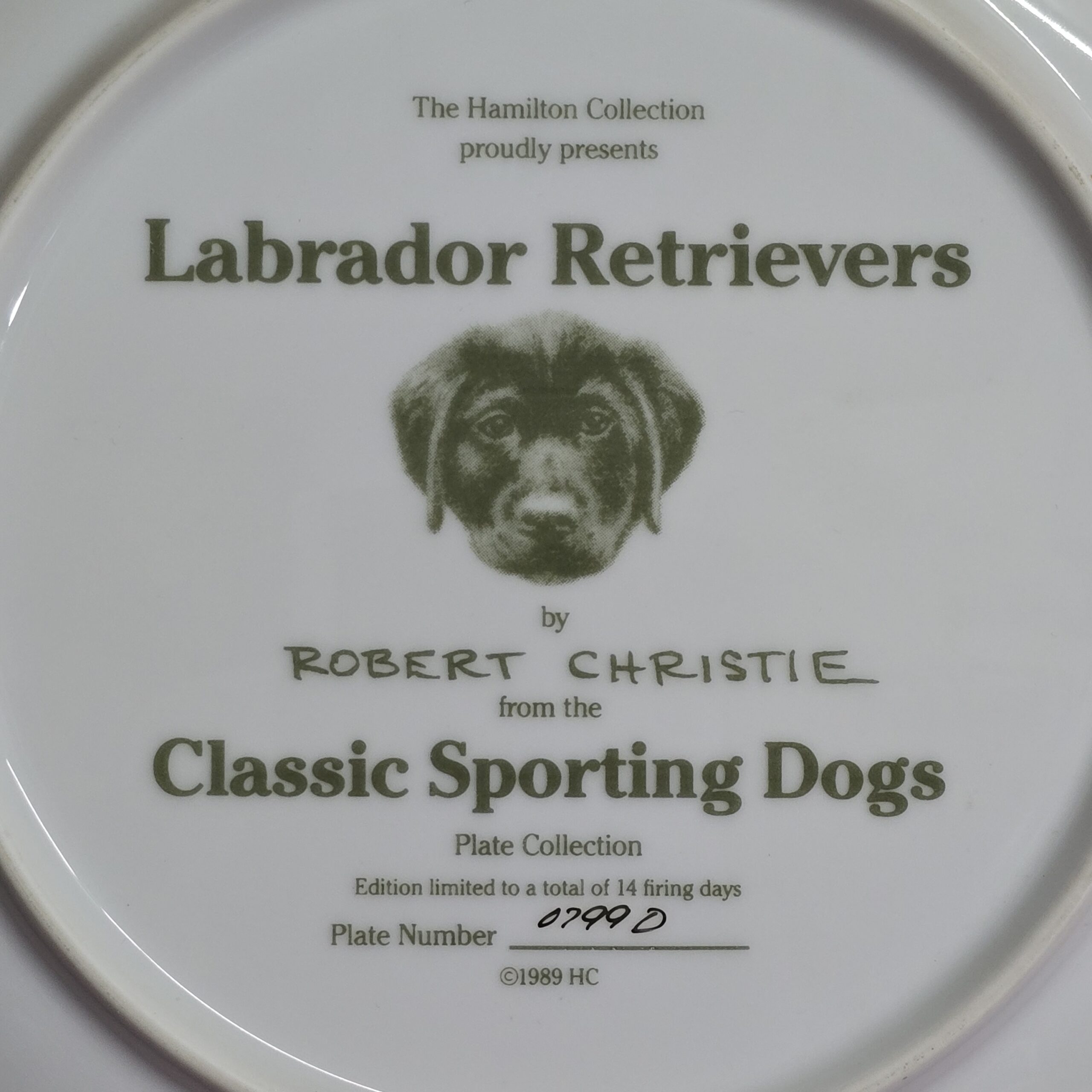 KOLEKSİYON TABAK LABRADOR RETRIEVERS CLASSIC SPORTING DOGS (Klasik Av Köpekleri) - Görsel 4