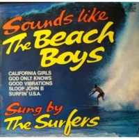BEACH BOYS - SUNG BY THE SURFERS