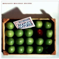 D.E.F. Orkestra - Beatles Alaturka