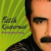 Fatih Kısaparmak - Mor Salkımlı Sokak