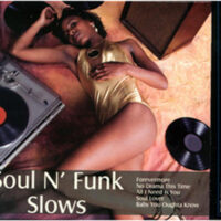 KARIŞIK SANATÇILAR - Soul N' Funk Slows