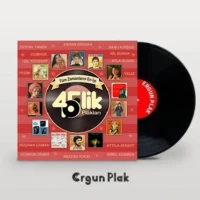 KARIŞIK SANATÇILAR - Tüm Zamanların En İyi 45'lik Plakları